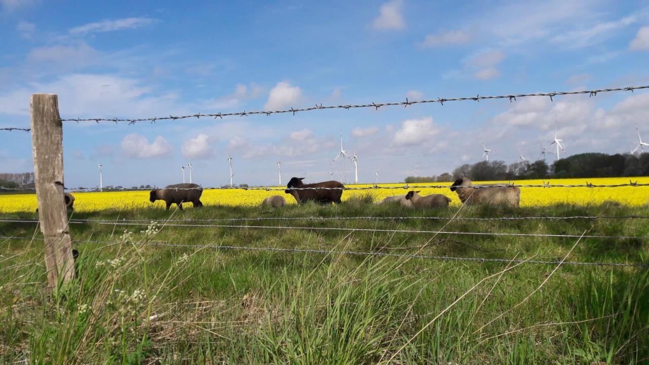 Ferienwohnung Wattkieker Büsum Eksteriør billede